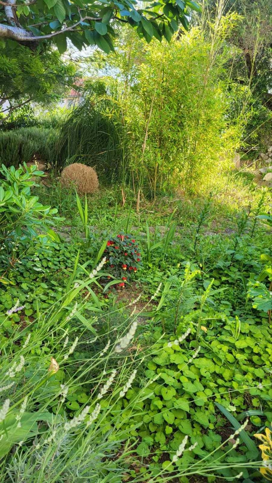 Padova 2 Apartment Banjol ภายนอก รูปภาพ